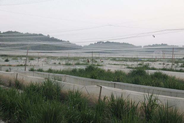 故乡情养殖基地