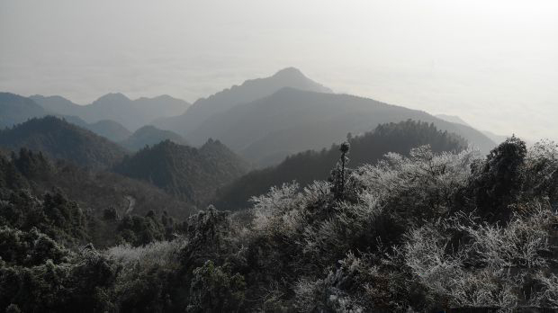 武冈云山，整个山顶一片银装素裹，阳光下白雪皑皑，云海翻滚，雾凇晶莹剔透，三景交融成独特的冰雪美景，令人心驰神往。