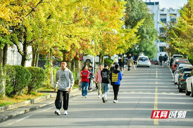 邵阳学院醉美秋色 将校园带入高饱和度模式