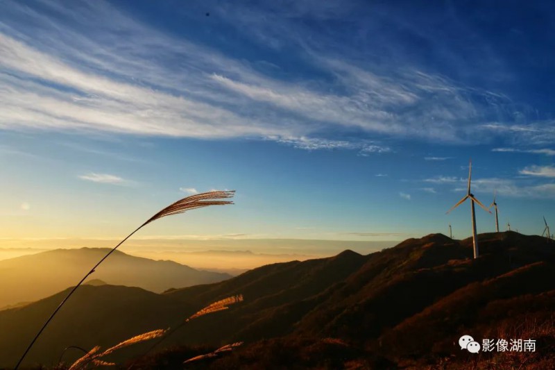 南山，高山红哨