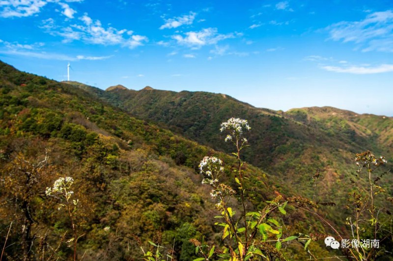 南山，高山红哨