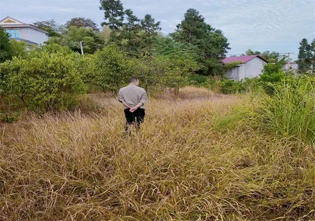 洞口县竹市镇车田村恢复地块施工前